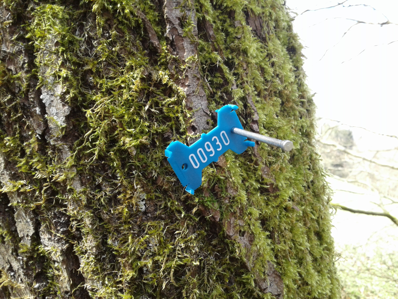 Marker on tree